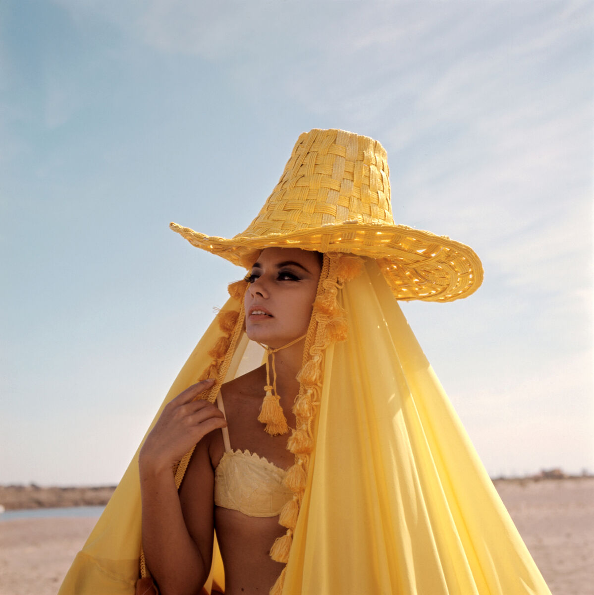 Experience the films of Federico Fellini on the silver screen at the IFI