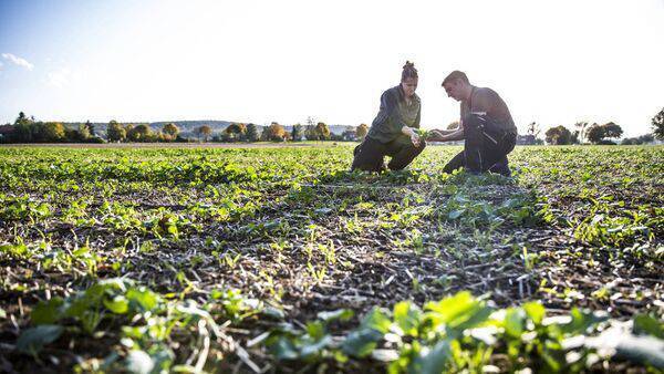 The partnership has been expanded this year and covers 13 research areas such as animal breeding, health and welfare, data science, sustainability of agroecosystems, and the bioeconomy.