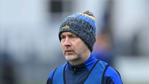 <p>GOING UP: Wicklow manager Oisín McConville. Picture: Stephen Marken/Sportsfile</p>