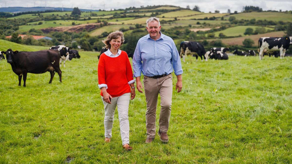 Family business: Glenilen Farm, dedicated to 'doing it right' - Vimarsana News