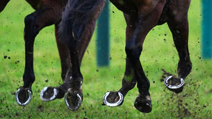 <p>A general view of hooves kicking up mud (David Davies/PA)</p>