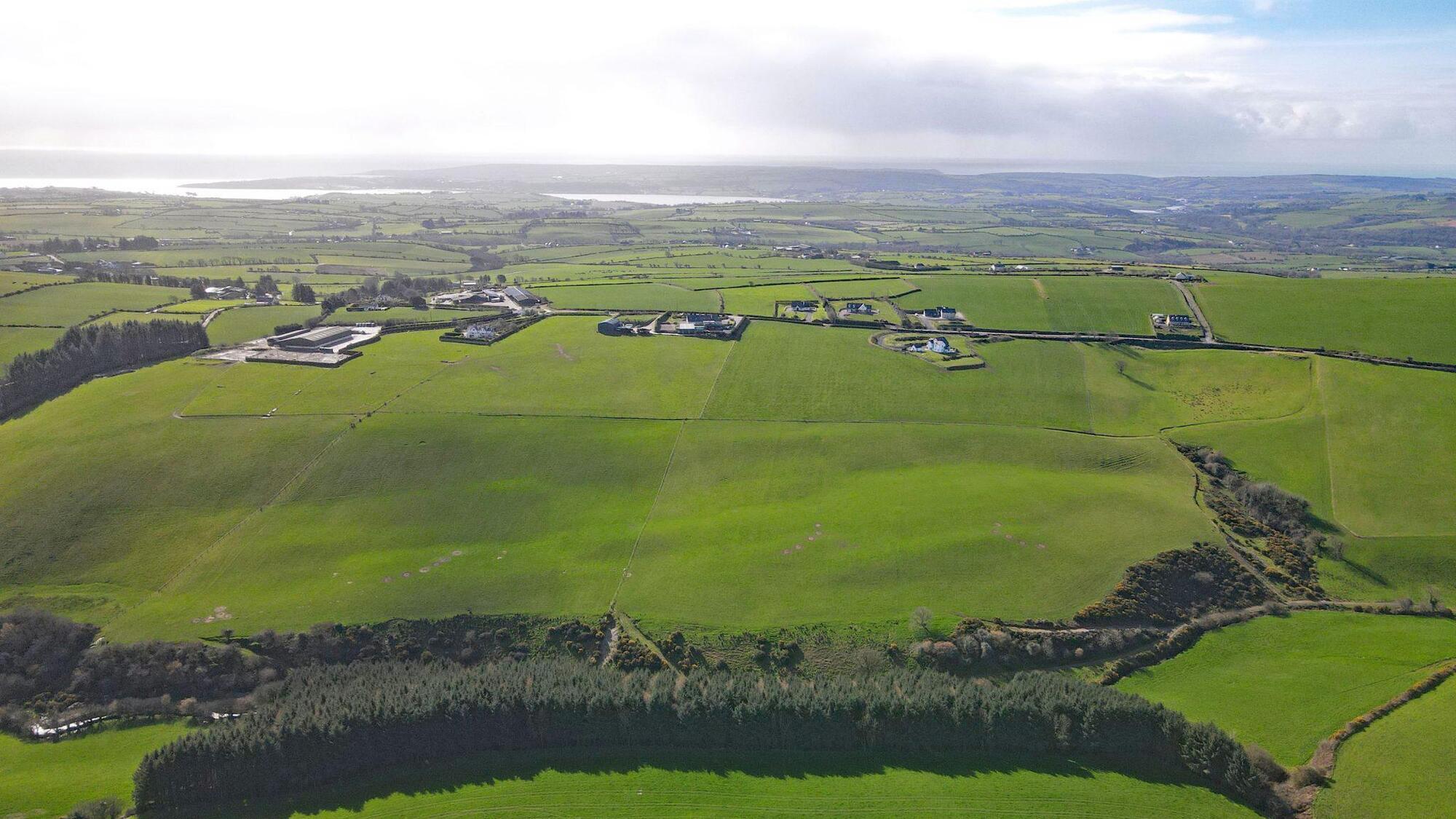 42-acre of pasture near Bandon offers tempting value at €10-12k/acre