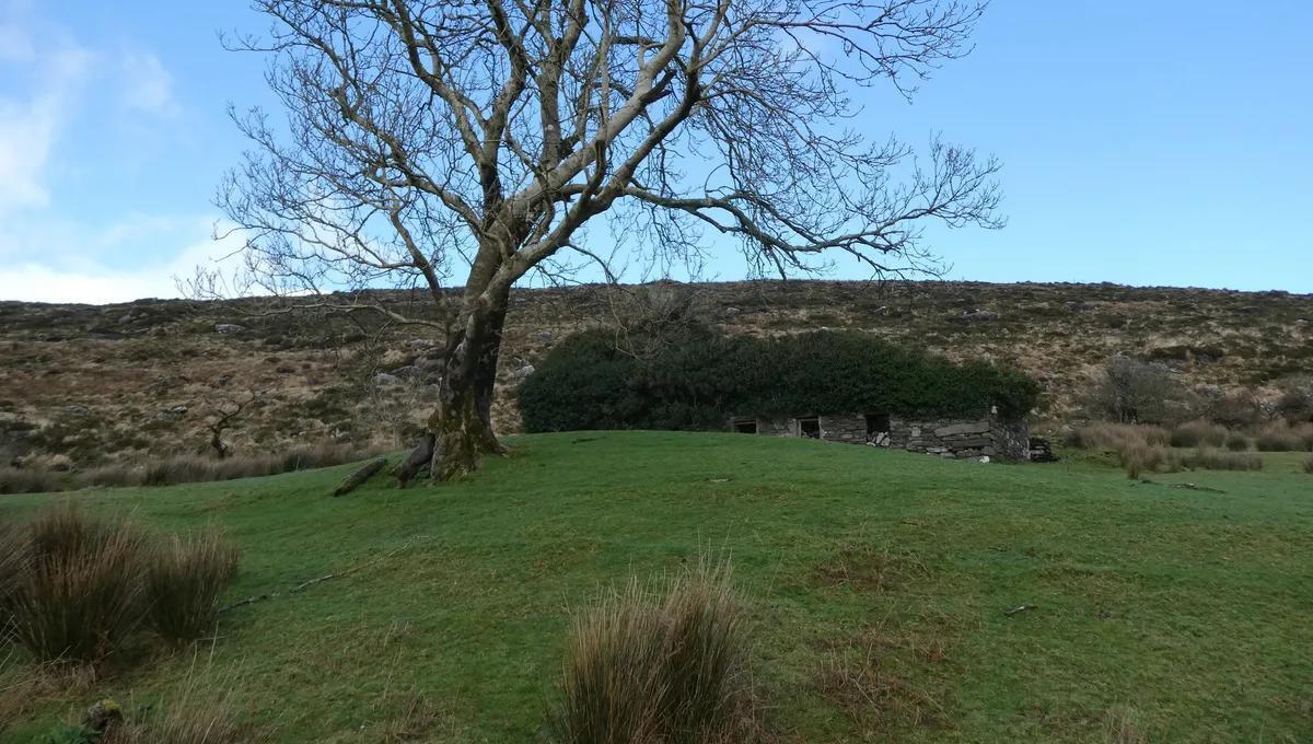87-acre holding in Kerry a tempting prospect at €4,500/acre