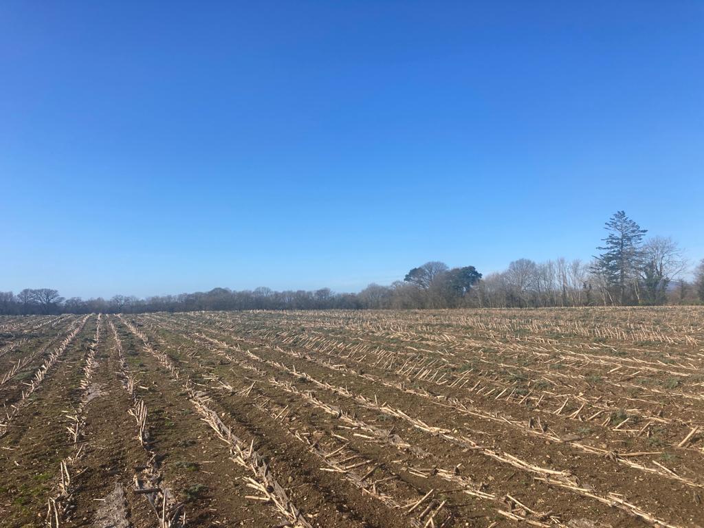 Wexford tillage parcel makes almost €22k/acre at auction