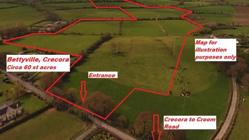 €15k an acre sought for quality limestone farm in Limerick