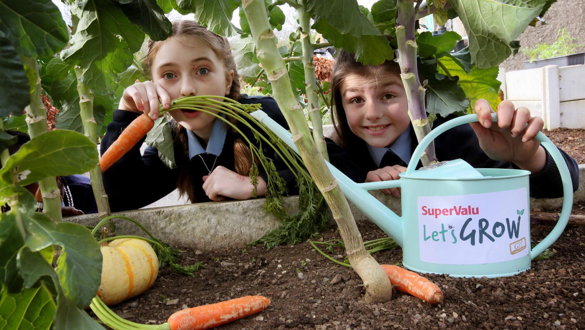 The Menu: Getting kids growing - and a lactating cookie for breastfeeding mums