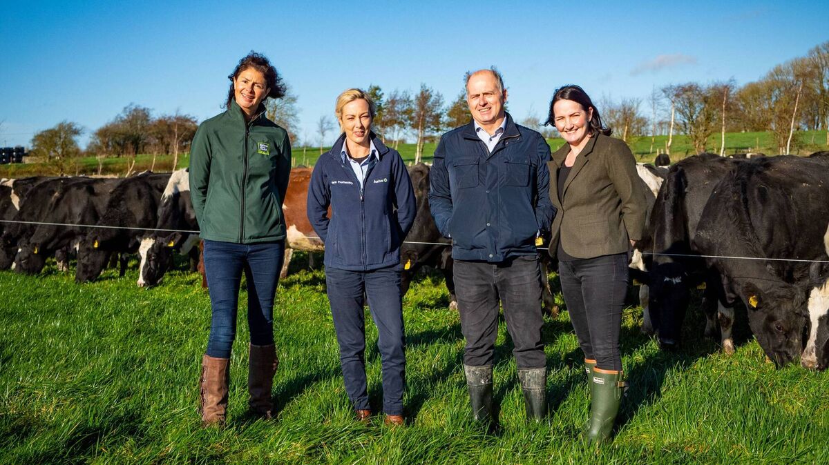 European Milk Forum spokesperson and CEO of the National Dairy Council, Zoe Kavanagh, Aurivo Farm profitability specialist Majella McCafferty, and dairy farmers Austin and Yvonne Connelly. Photo: Traction Media