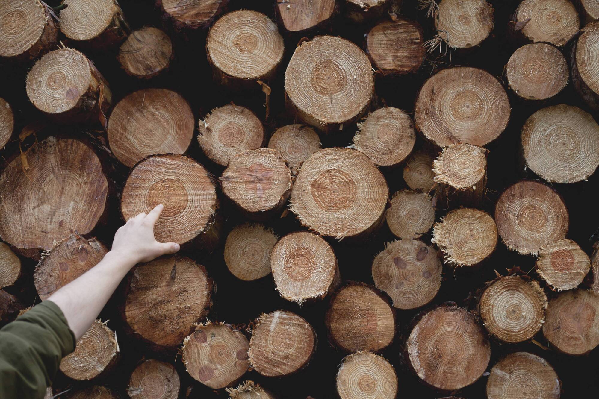 Recovery in timber prices welcomed by farmers