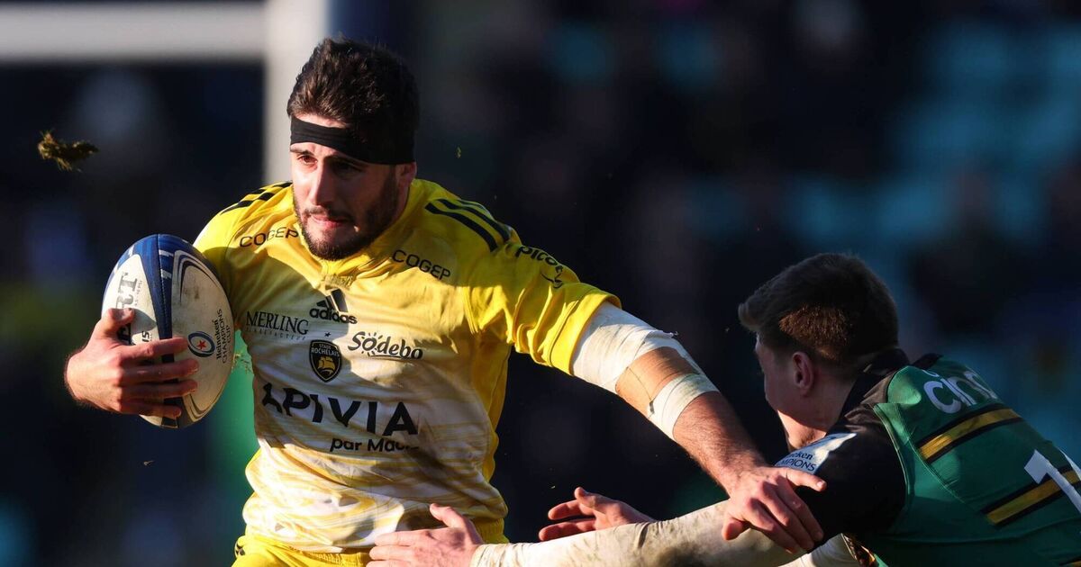 Ronan O'Gara Personality profiling the perfect team player