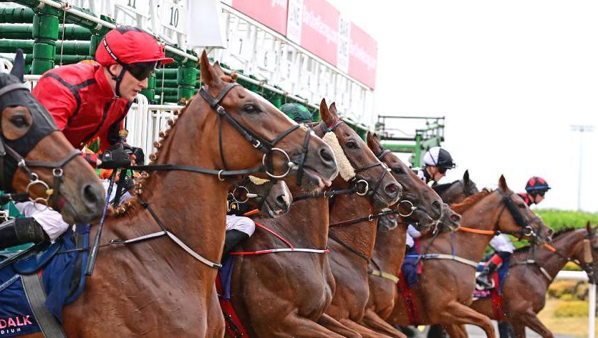 Ruby Walsh: Making everyone a winner will only end with losers