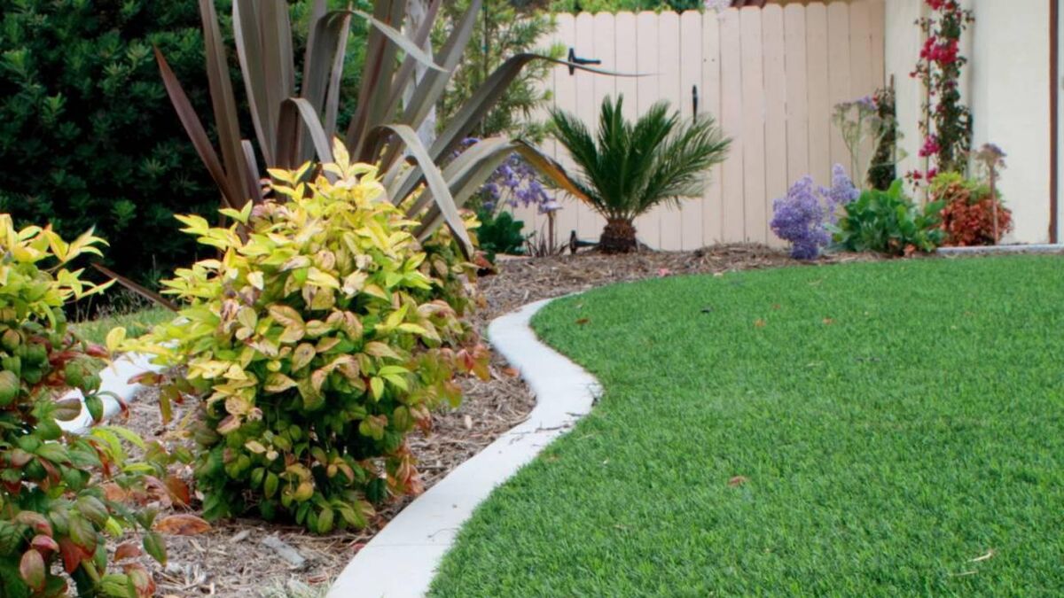 Plastic grass: Low-maintenance fuss-free greenery — or a menace to the environment? - Vimarsana News