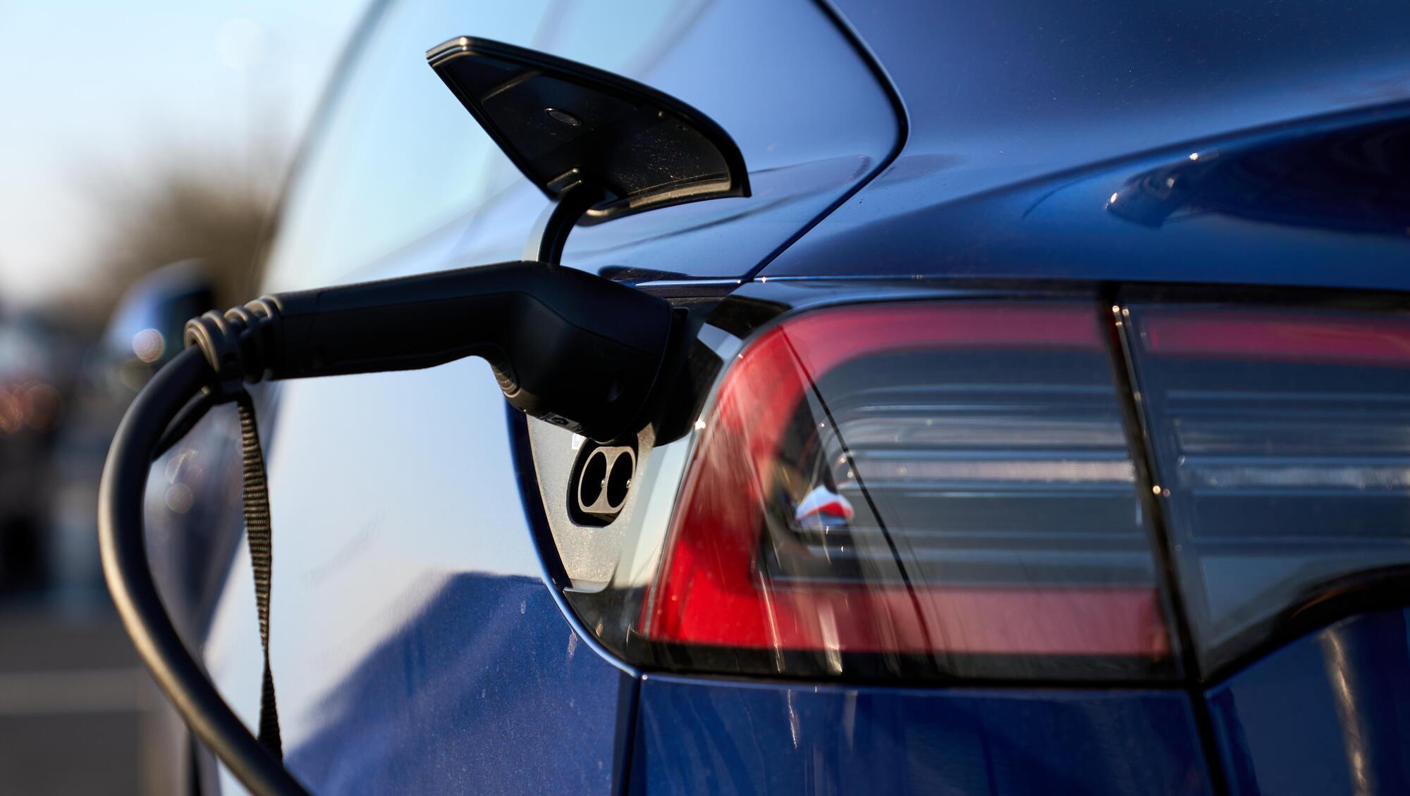 Demand for electric vehicles growing as new registrations up 49% 