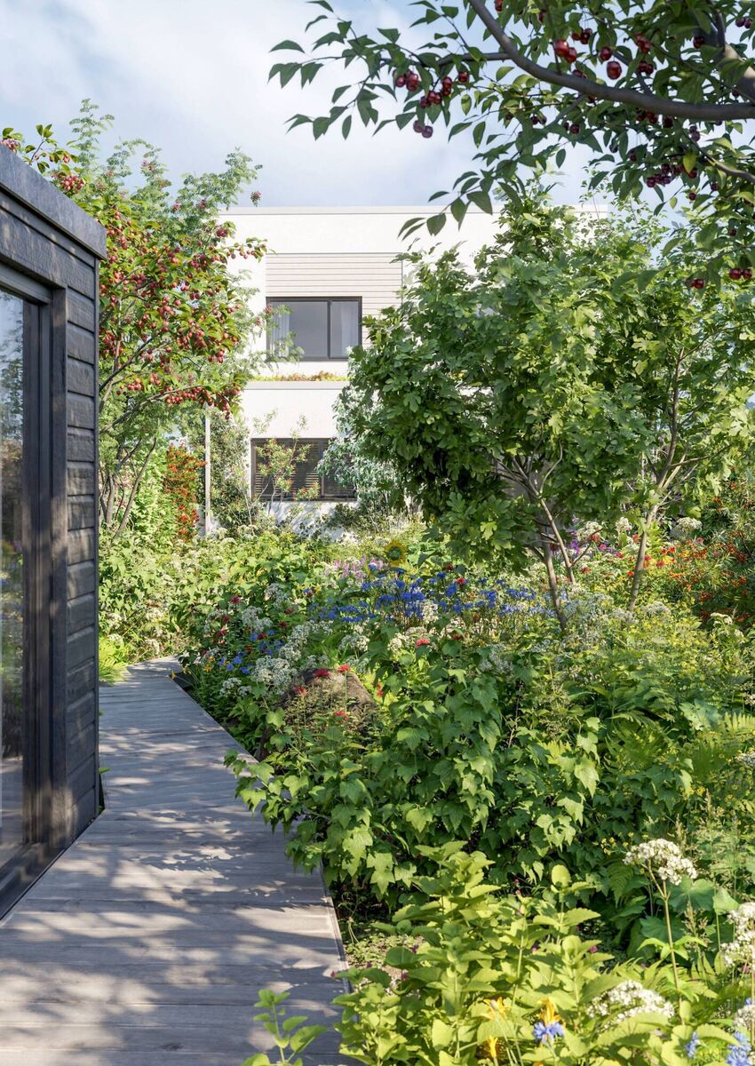 HS Resilient Garden by Tom Massey, published by DK, is out now HS Resilient Garden by Tom Massey, published by DK, is out now