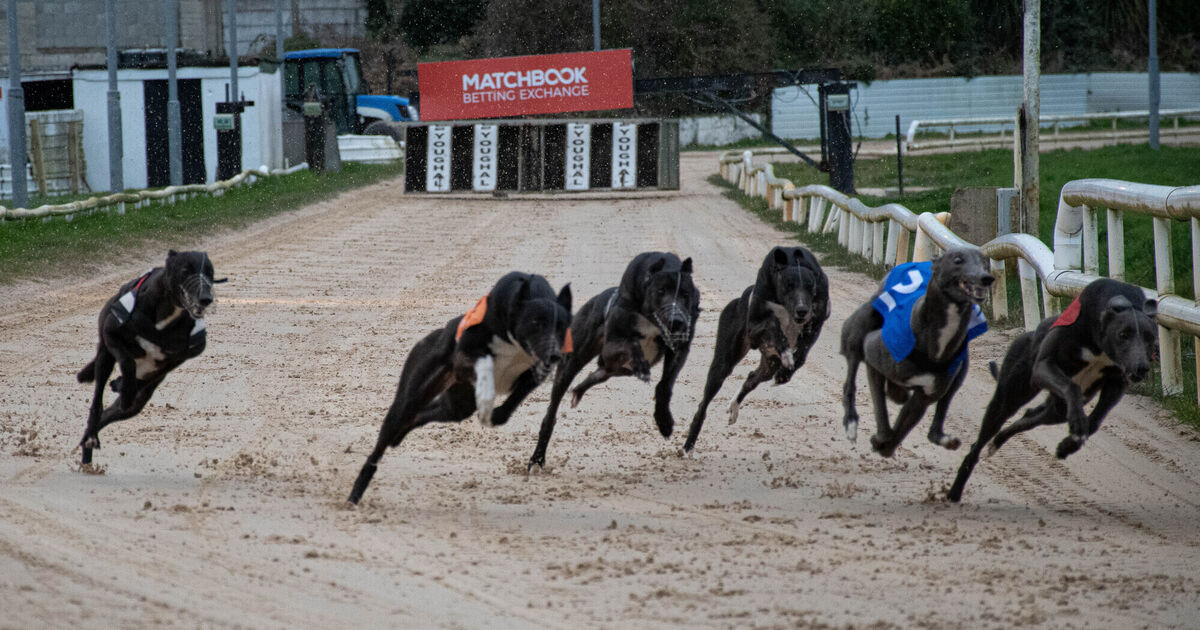 Deal signed to keep Youghal greyhound stadium open