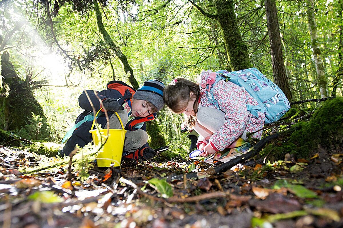 Lochlann Ward and Lara Taylor from St. Joseph's NS Kilmactranny search for life on the forest floor during their nature walk in Lough Key Forest Park. Picture: Brian Farrell