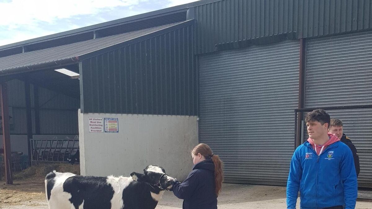 It'll be 'hair-cut time' for anything that stands still - showtime preparations begin for Team Hynes - Vimarsana News