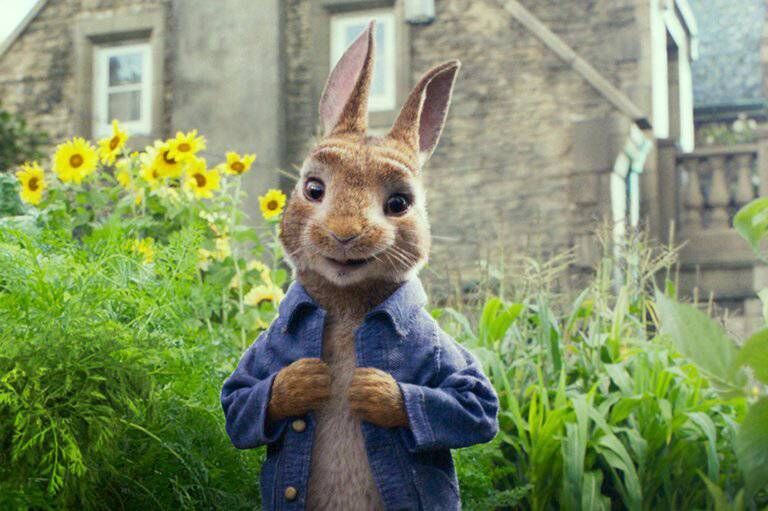 Peter Rabbit Movie
