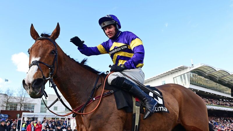 Derek Fox sits out Ahoy Senor ride in bid to be fit for National