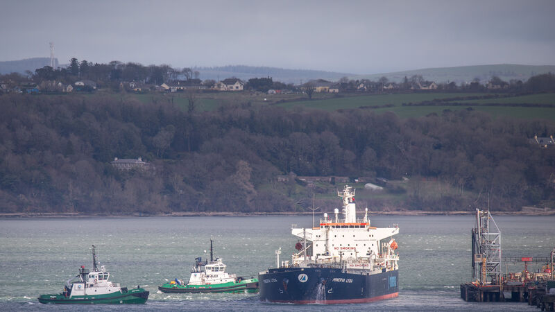 Oil steadies after surge with supplies and stockpiles in focus