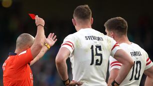 <p>ORANGE IS THE NEW CARD: Freddie Steward was shown a controversial red card in Dublin (Brian Lawless/PA)</p>