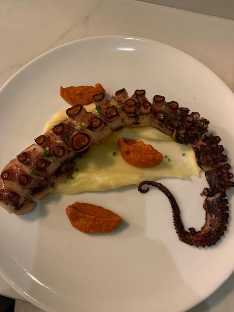 Octopus 