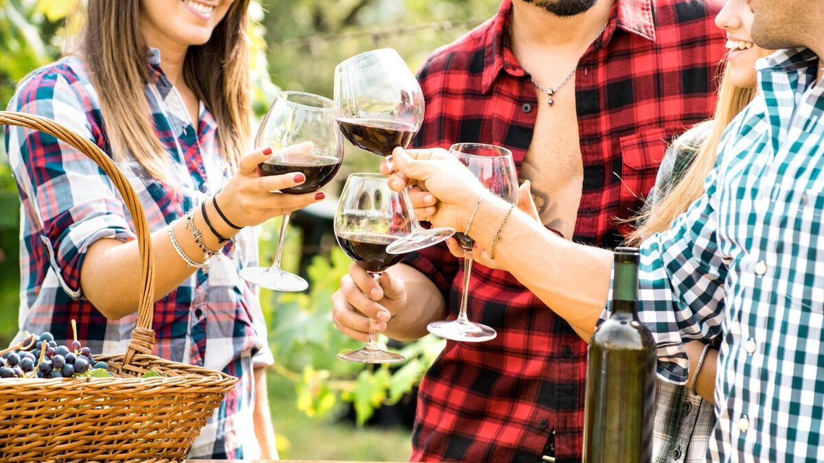 Wine with Leslie: The best of French wine - and a €10 Portugese red for the weekend - Vimarsana News