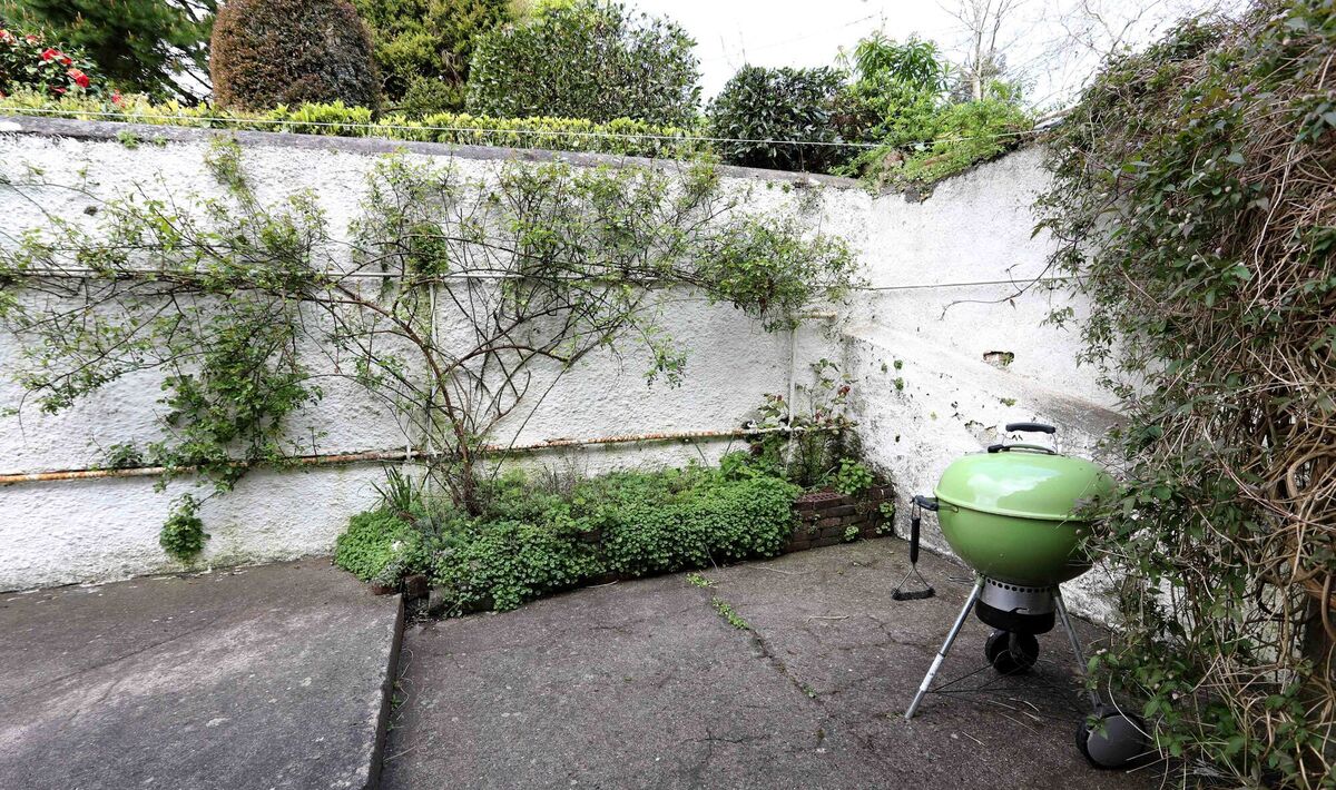 Rear courtyard