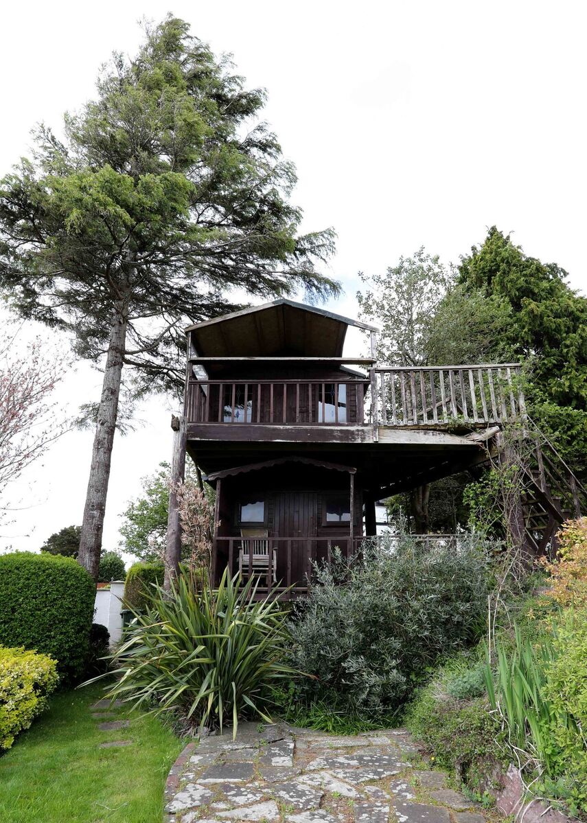 Giant treehouse