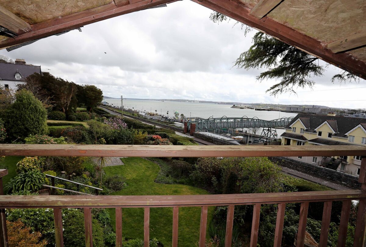 View from treehouse