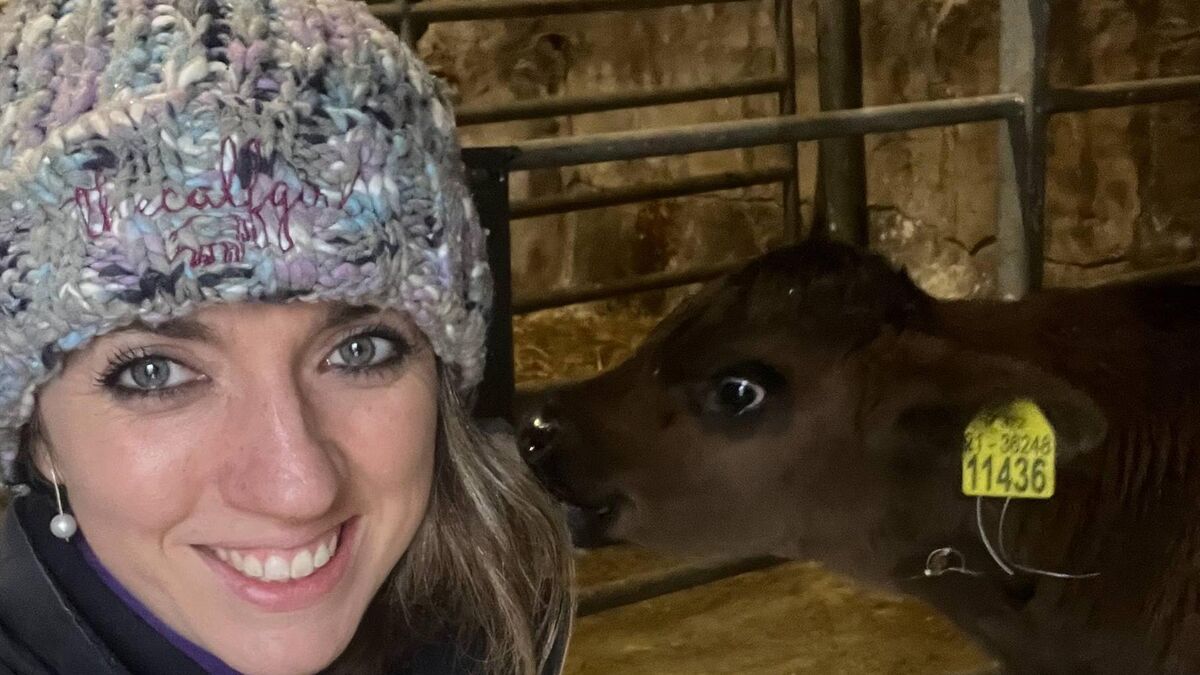 Vet on the Moove: The Story of "Red" - Cryptosporidium - Vimarsana News