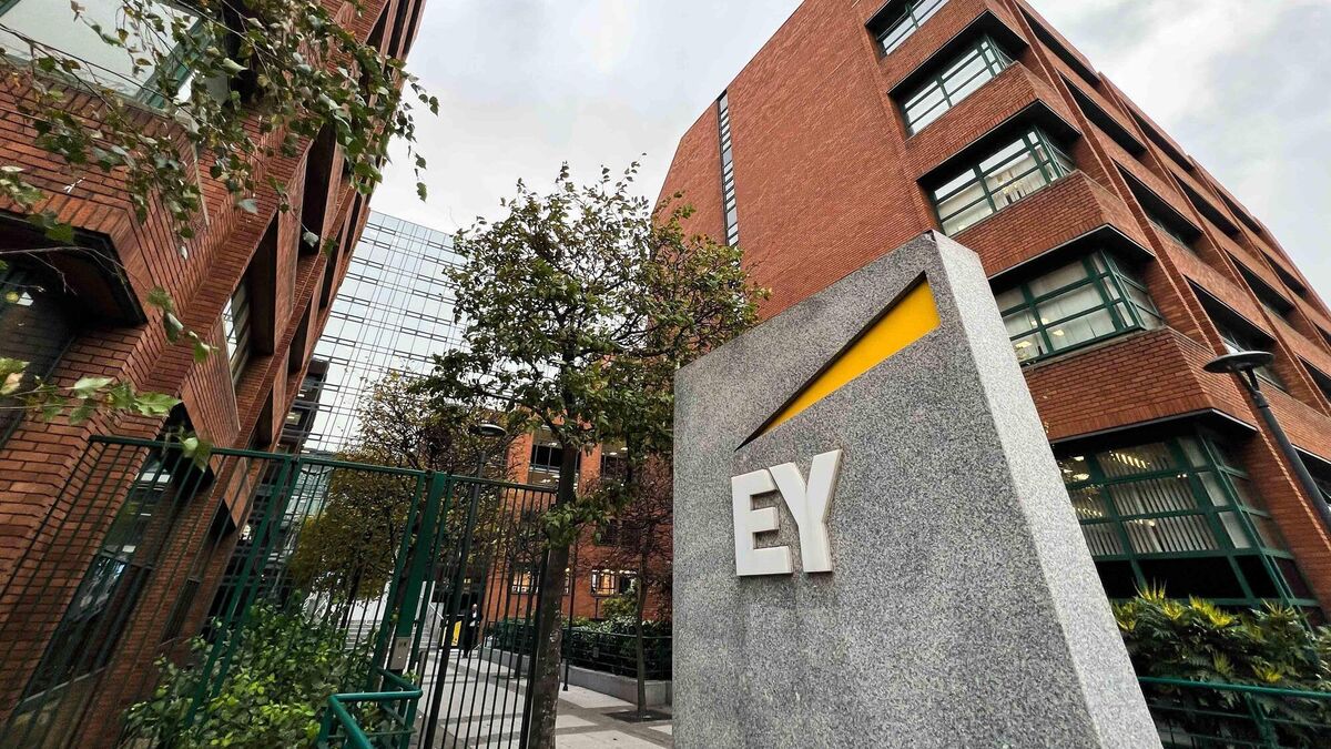 Eamon Quinn: Accounting giant EY stalls plan to scale its Everest - Vimarsana News