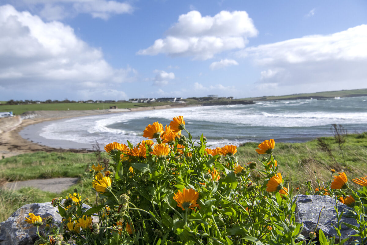  Garrettstown Beach. Picture: Dan Linehan