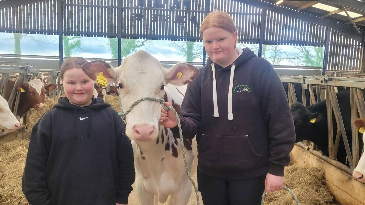 A 'Magic' trip to Devon for Team Hynes - Vimarsana News