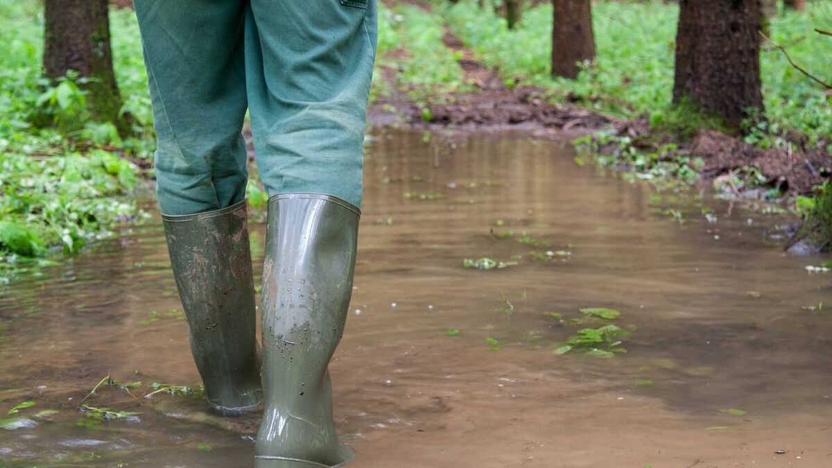 Whatever the weather - Ireland among EU states placing lowest priority on farming's climate adaption - Vimarsana News
