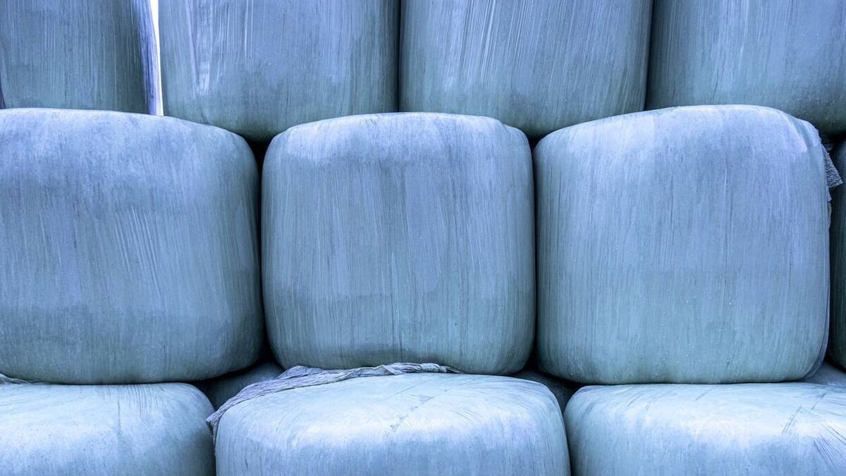 Fodder security group urges farmers to save an extra 20% in winter stocks - Vimarsana News