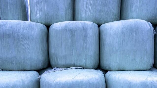 <p>The group warned farmers should plan and act now for appropriate fertilisation rates and harvest dates to ensure sufficient supply of high-quality silage.</p>