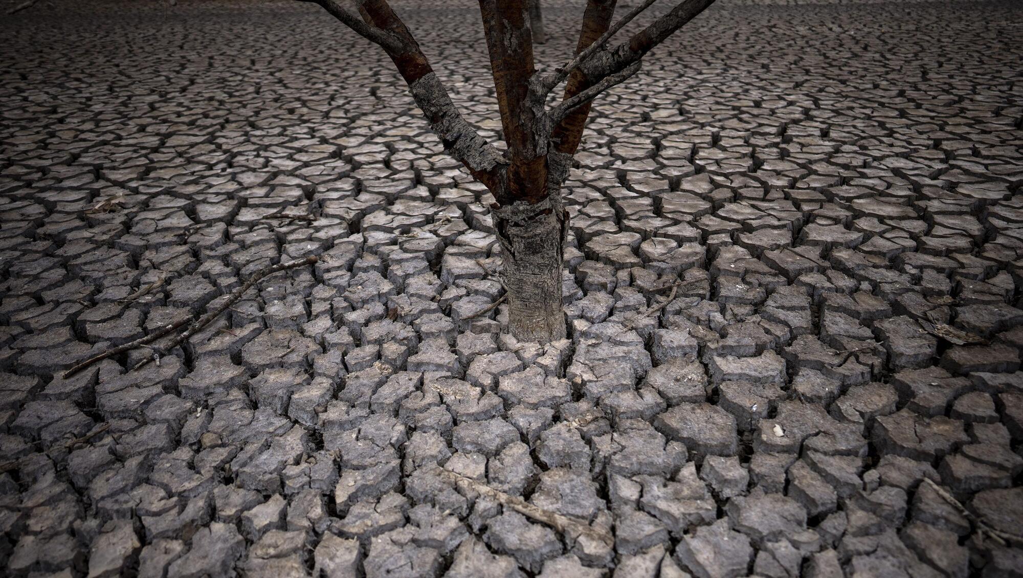 Climate scientists warn heatwaves to last longer causing more 'heat stress' 
