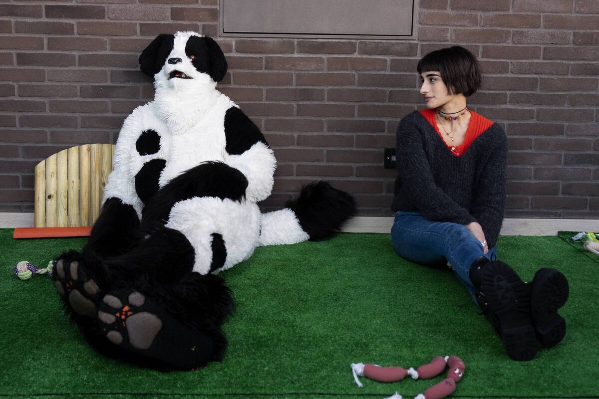 A scene from io Spotty. A scene from io Spotty.