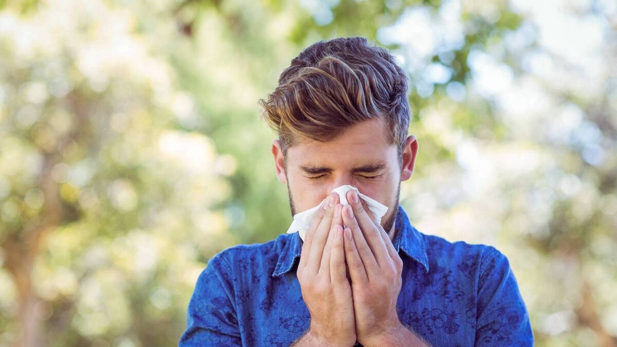 Hay fever: An allergy that's nothing to sneeze at - Vimarsana News