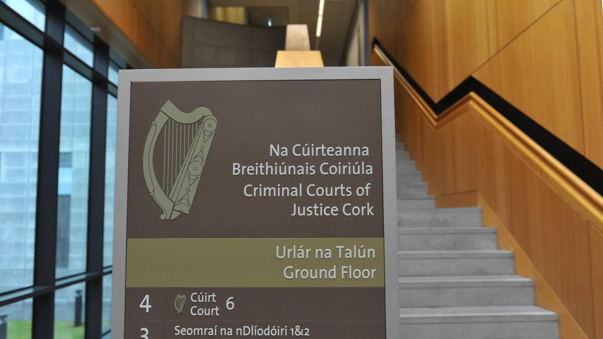 Man drove work colleague at high speed across Cork City and refused to let her out of car - Vimarsana News
