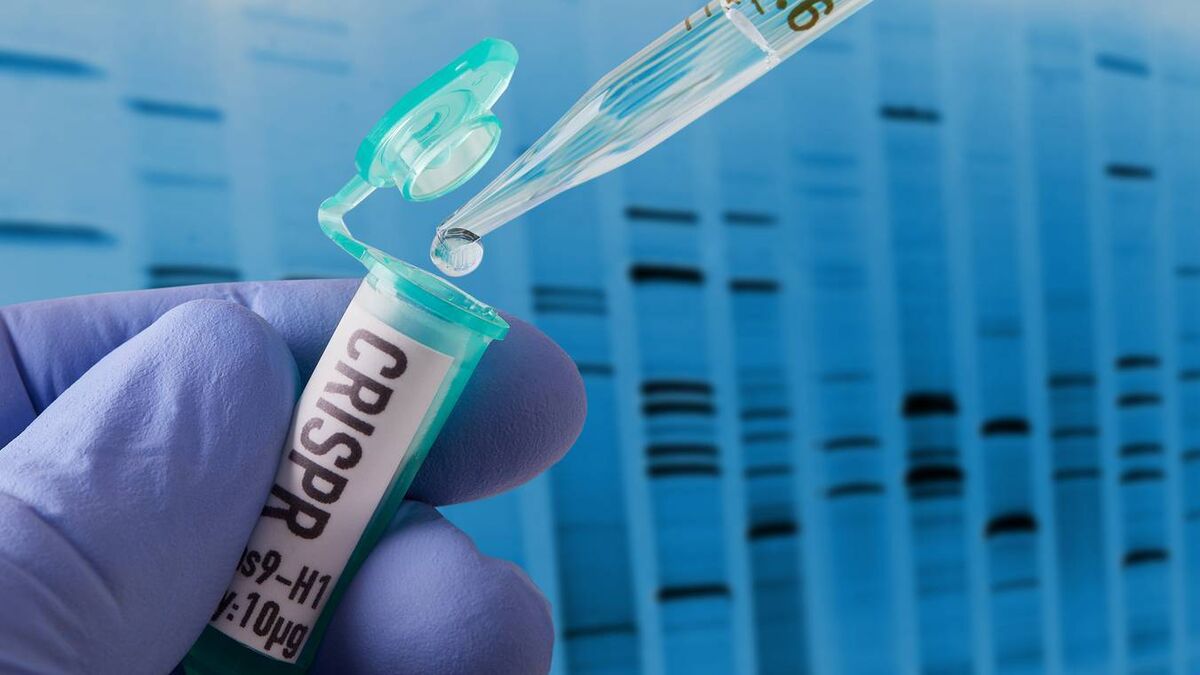 Gene-editing approved for use on crops and livestock in England - Vimarsana News