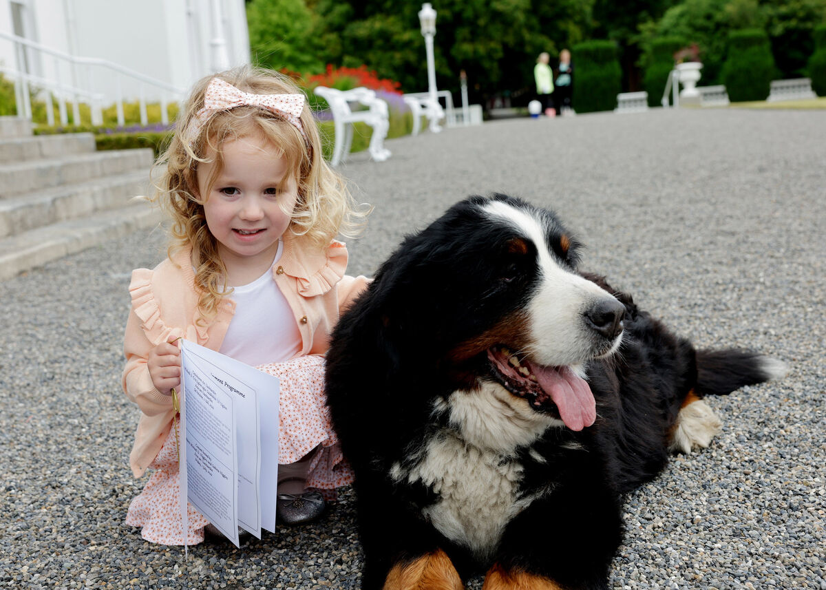 Four-year-old Dubliner Lucy Eglington with Bród during a visit to the President at Áras an Uachtaráin. Picture: MAXWELLS