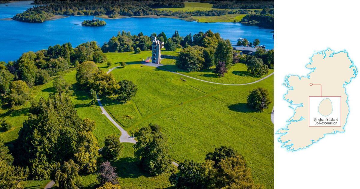 Embanked enclosure — Lisnamucklagh (athlone North By.)