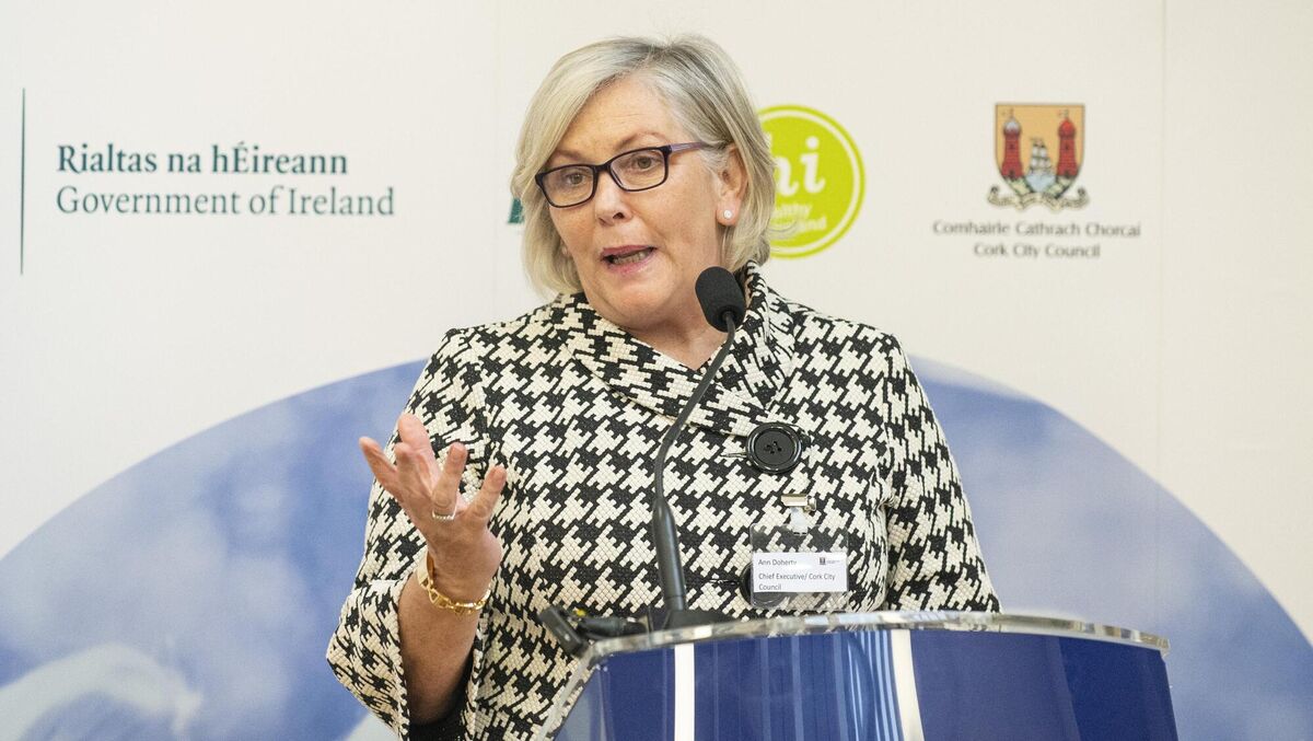 Cork City Council chief executive Ann Doherty. Picture: Gerard McCarthy