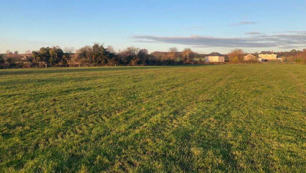 Triple online auction in Wexford a strong barometer
