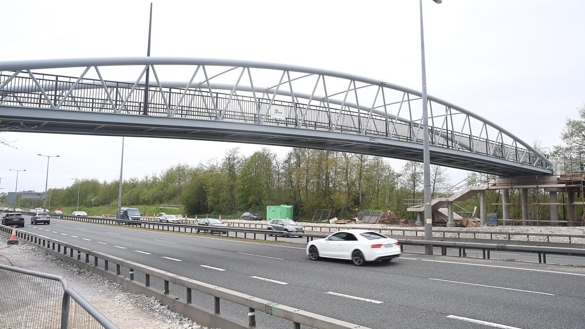 Michael Moynihan: Who should we immortalise when we name Cork's new bridge? - Vimarsana News