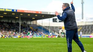 <p>Waterford manager Davy Fitzgerald during the Munster championship opener against Limerick. Picture: Stephen McCarthy/Sportsfile</p>