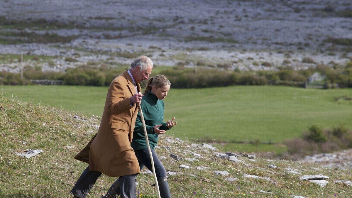 The Green King - how a future State visit might put the spotlight on ag - Vimarsana News