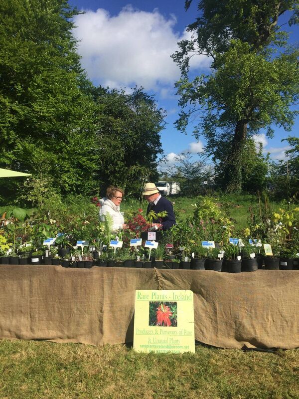 A Rare and Special Plant Fair from previous years. 