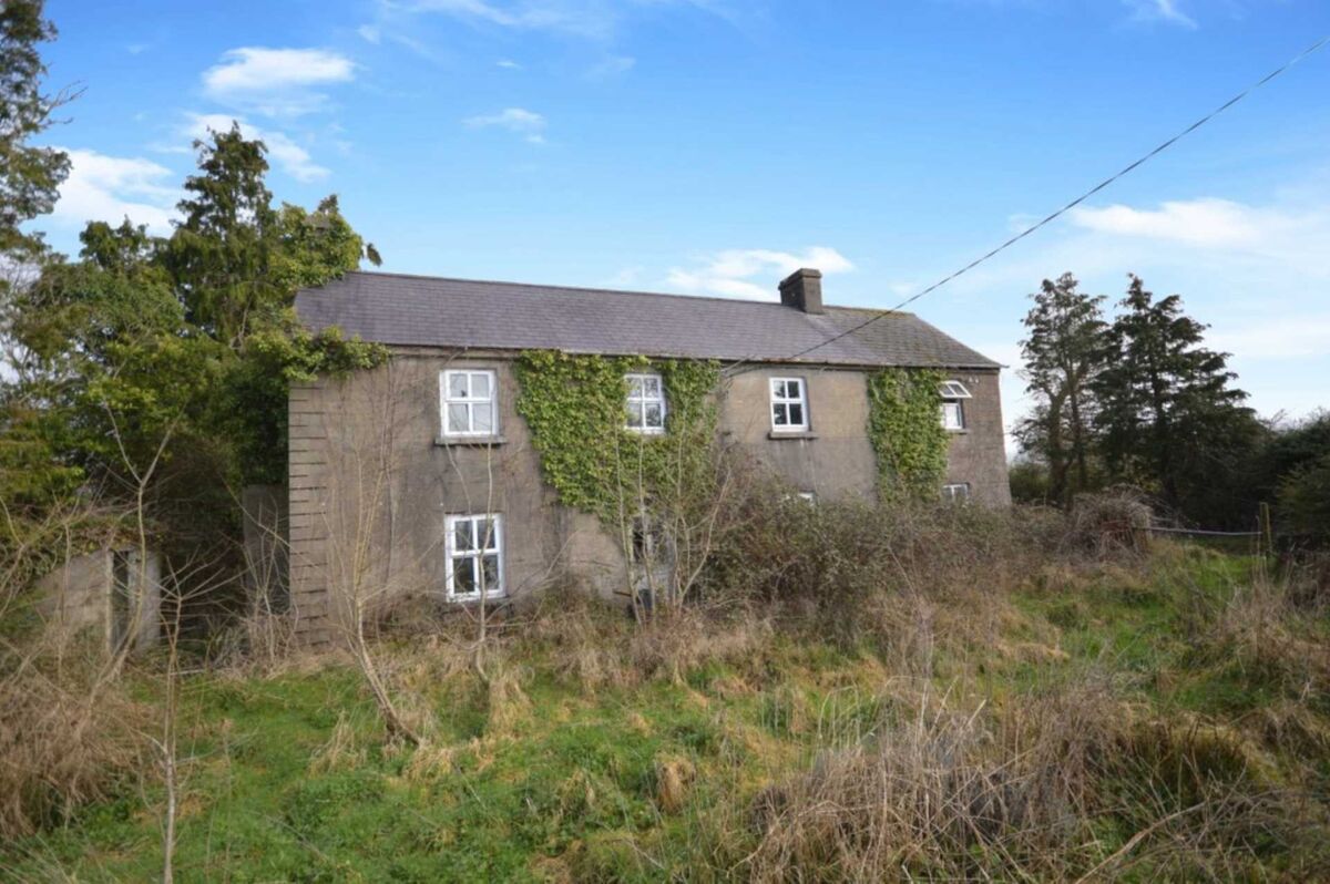 The farmhouse on the 46-acre holding in Wexford sold recently at auction.